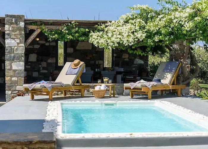 Вилла Seasalt Dream Villa,santa Maria 5 Min From Naousa